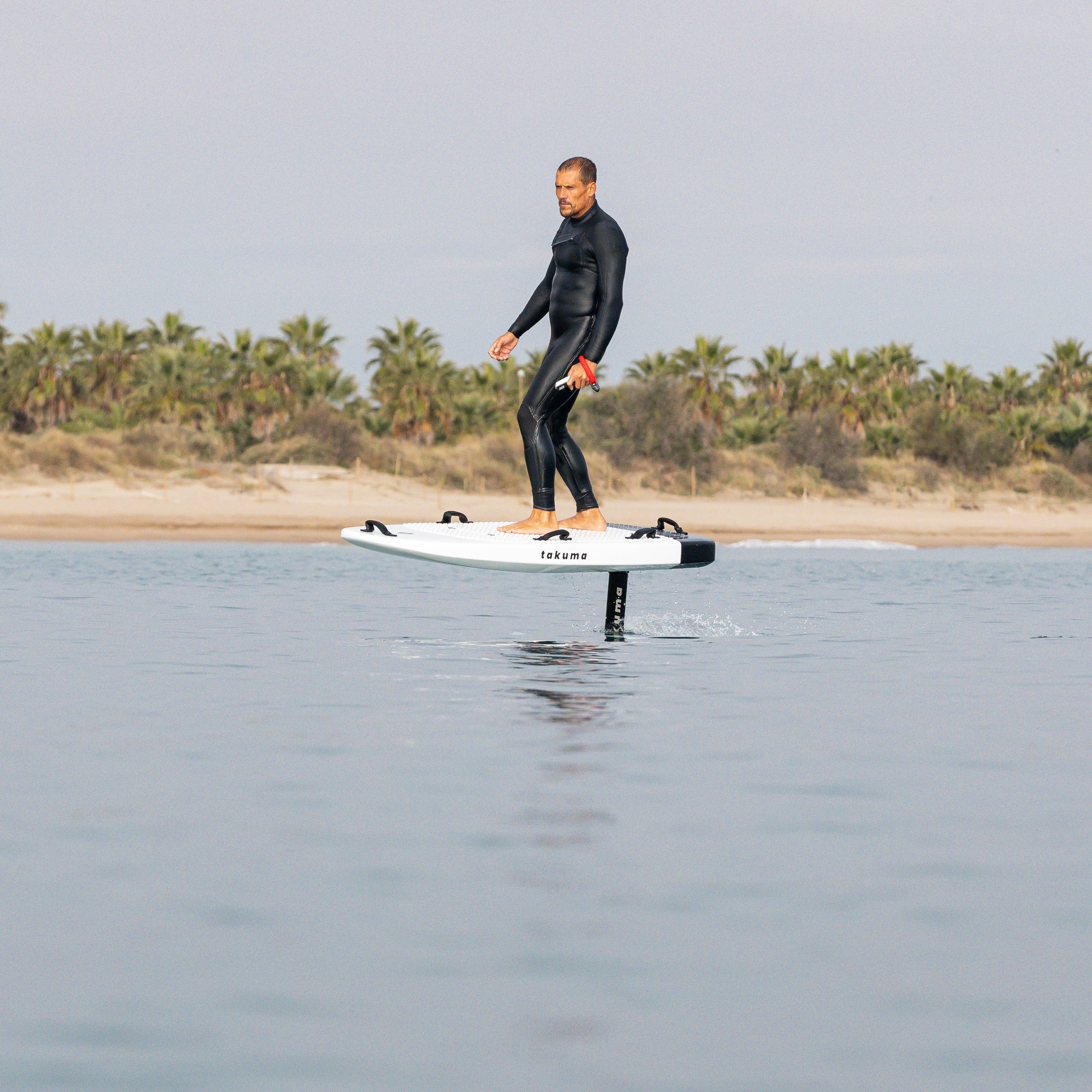 Cruising V2